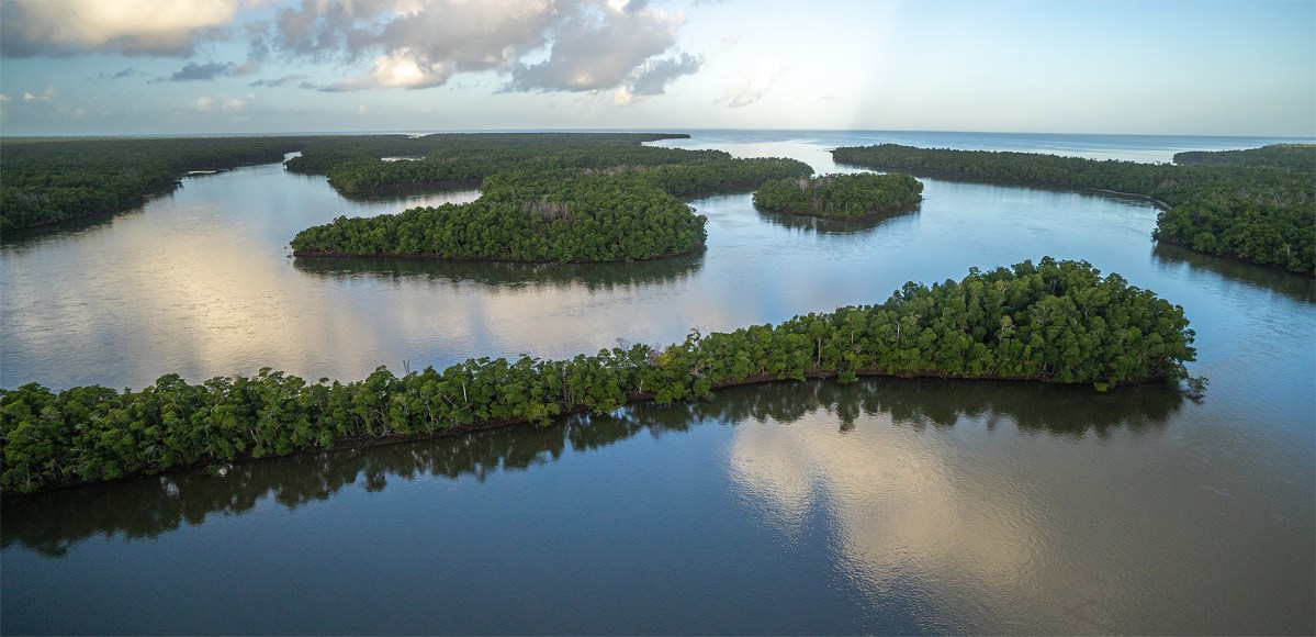 DSC06762 https://i1.wp.com/captainsforcleanwater.org/wp-content/uploads/2021/05/DSC06762.jpg?fit=1200%2C580&ssl=1