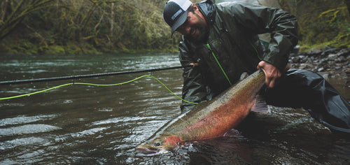 WHY STEELHEAD EAT FLIES